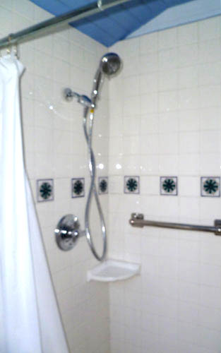 Lower Studio Shower