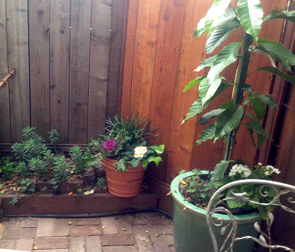 Lower Bedroom 3 Patio